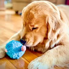 Pet Toys